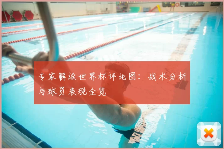 专家解读世界杯评论图：战术分析与球员表现全览