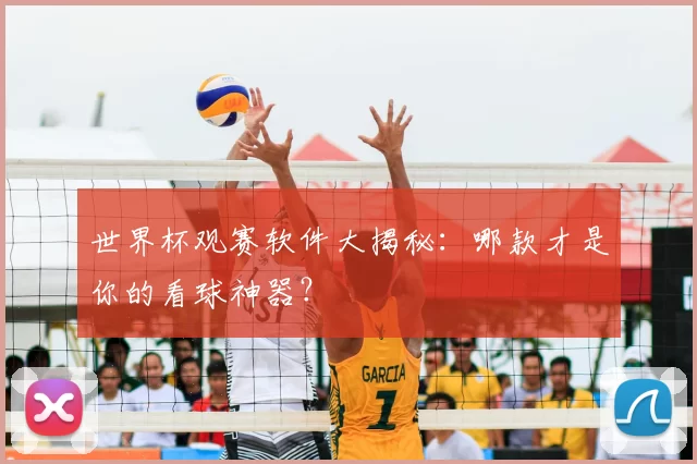 世界杯观赛软件大揭秘：哪款才是你的看球神器？