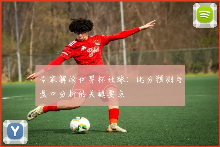 专家解读世界杯让球:比分预测与盘口分析的关键要点