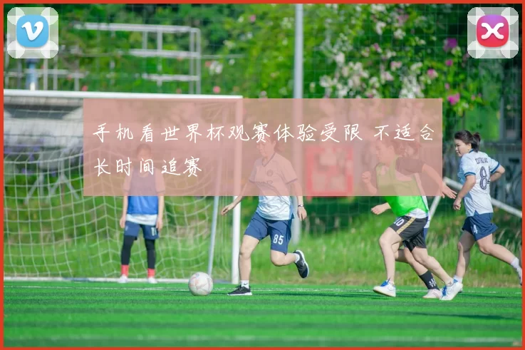 手机看世界杯观赛体验受限 不适合长时间追赛