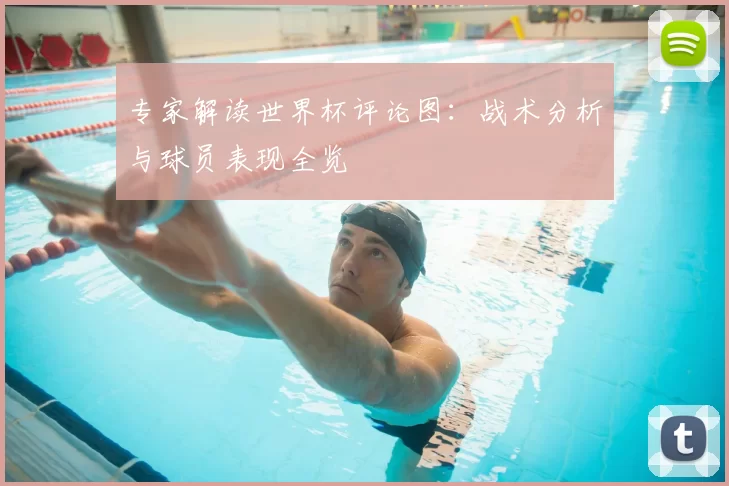 专家解读世界杯评论图:战术分析与球员表现全览