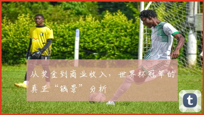 从奖金到商业收入,世界杯冠军的真正“钱景”分析