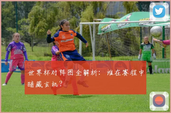 世界杯对阵图全解析:谁在赛程中暗藏玄机?